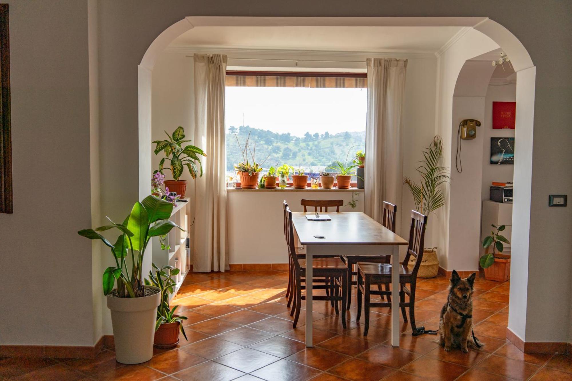 Coliving Together Gargano Habitación en casa particular Vieste